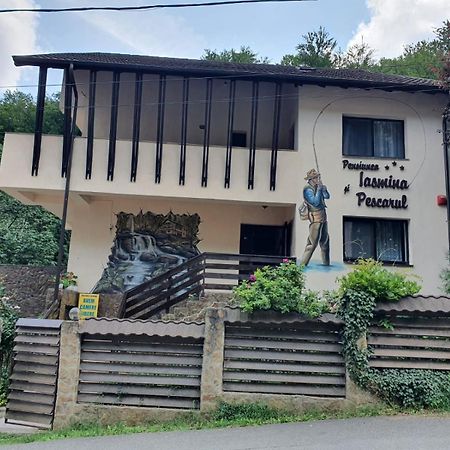 Pensiunea Iasmina Si Pescarul Calimanesti Exterior foto