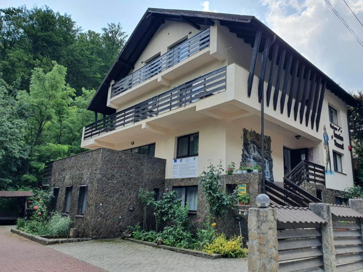 Pensiunea Iasmina Si Pescarul Calimanesti Exterior foto