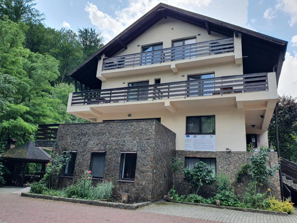 Pensiunea Iasmina Si Pescarul Calimanesti Exterior foto