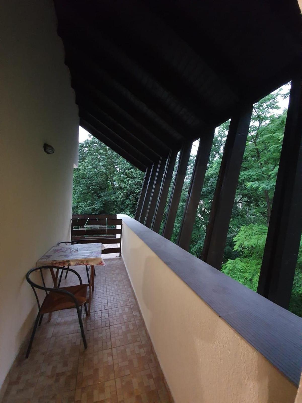 Pensiunea Iasmina Si Pescarul Calimanesti Exterior foto
